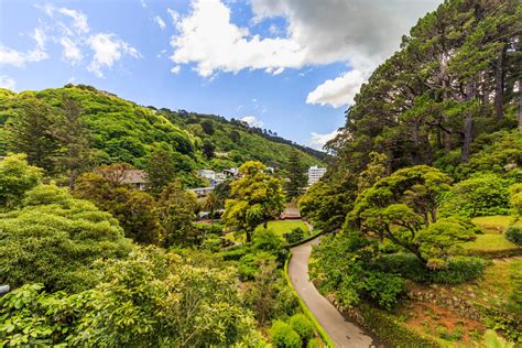 Wellington Botanic Garden, Wellington: How To Reach, Best Time & Tips