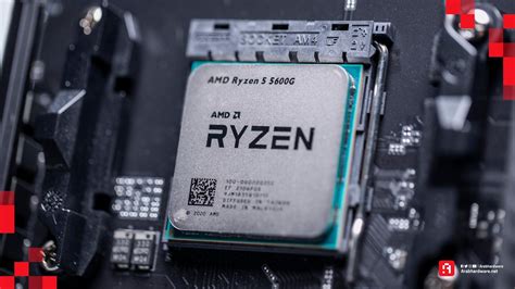 مراجعة شاملة معالج AMD Ryzen 5 5600G (سعر ومواصفات) - Arabhardware