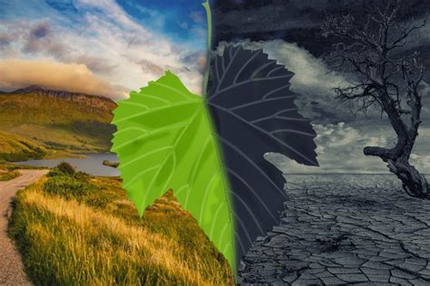 Climate Change Free Stock Photo - Public Domain Pictures