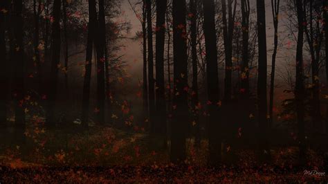 Autumn Dusk In The Forest wallpaper | nature and landscape | Wallpaper ...