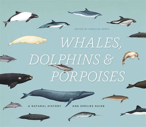 Whales, Dolphins, and Porpoises: A Natural History and Species Guide, Berta