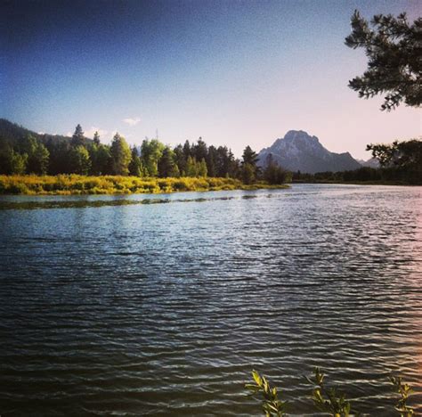 Jenny Lake Campground Camping | The Dyrt