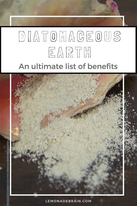 Diatomaceous Earth: Ultimate list of benefits | Diatomaceous earth ...