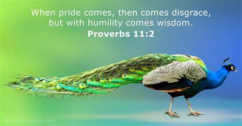 15 Bible Verses about Pride - NIV & NLT - DailyVerses.net