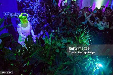 129 Bjork Digital Stock Photos, High-Res Pictures, and Images - Getty Images