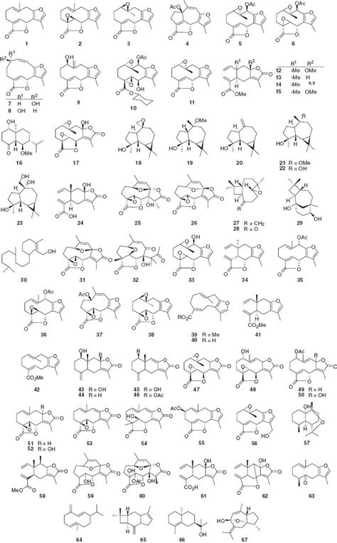 Triterpene Structure