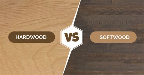 The (Differences, Uses, Examples) Between Hardwood And Softwood