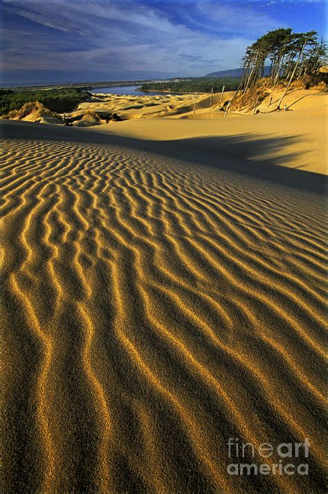 Sunset Oregon Dunes National Recreation Area Oregon Photograph by Dave Welling - Fine Art America