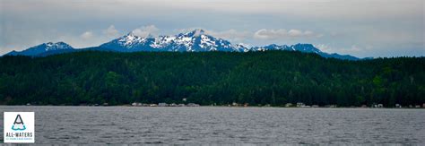 Welcome To Washington's Hood Canal - All-Waters Fly Fishing