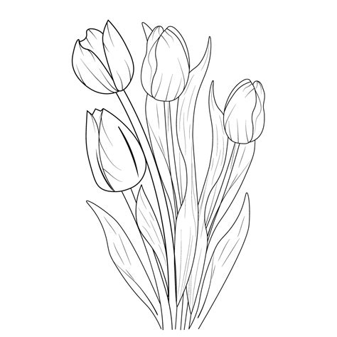 vintage tulip illustration, tulip flower drawing, pencil realistic tulip drawing, realistic ...