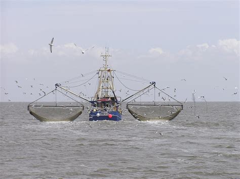 Fishing vessel - Wikipedia