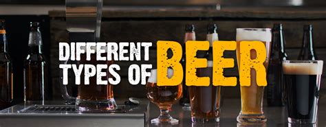 Different Types & Styles of Beer: The Ultimate Guide