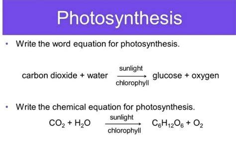 Equation For Photosynthesis