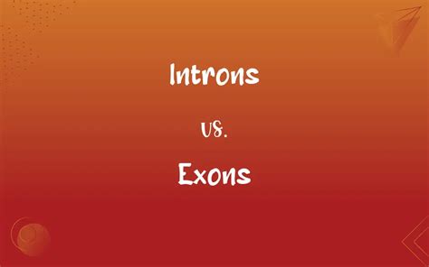 Introns vs. Exons: What’s the Difference?