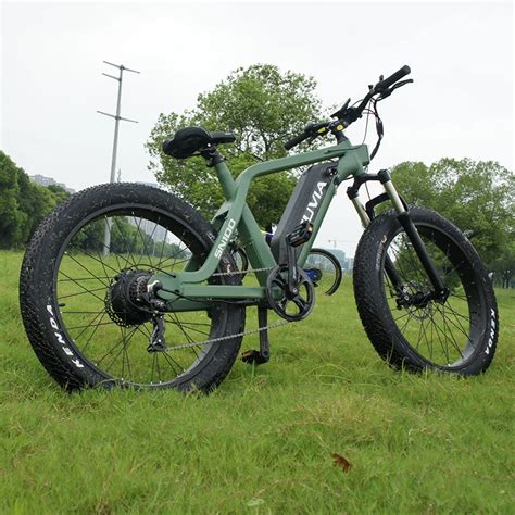 Electric Bike Green Recharged With Lcd Display 1000watt - Buy E-bike ...