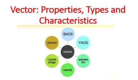 Vector: properties, types and characteristics - Microbiology Notes