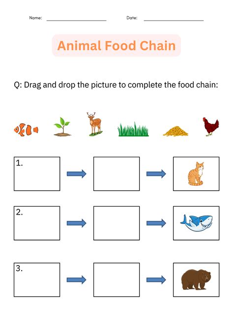 Printable Animal Food Chain Worksheet and Activity - Cut And Paste for Grade 1 | Made By Teachers