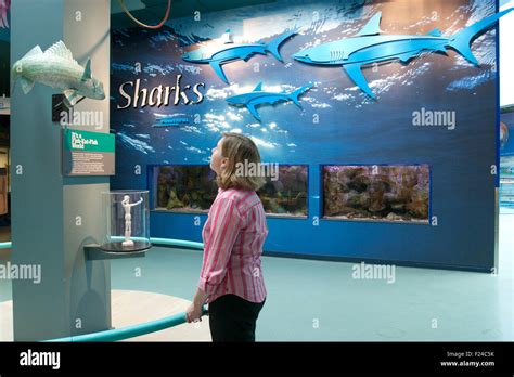 Nauticus national maritime center hi-res stock photography and images - Alamy