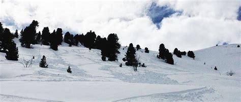 Snowboard Blog - Types of Avalanche