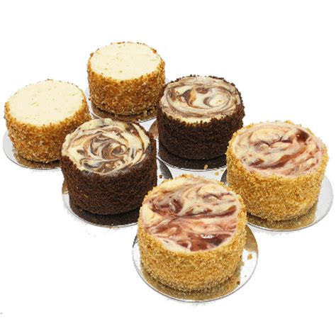 Mini Cheesecake Sampler - Six Included