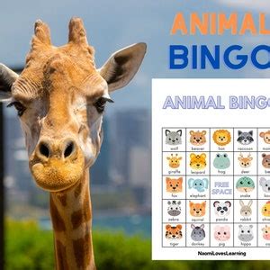 Animal Bingo Cards - Etsy