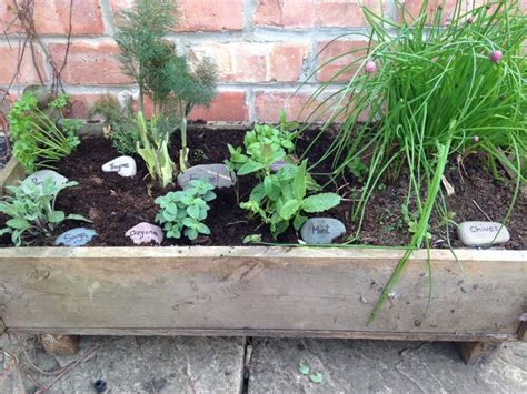 Growing a Container Herb Garden – A Beautiful Space