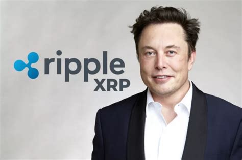 Elon Musk handed Ripple 'the best ad campaign' for XRP