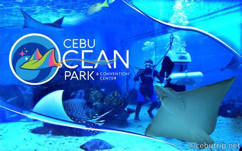 The Largest Oceanarium in the Philippines Opens in Cebu!! :: CebuTrip