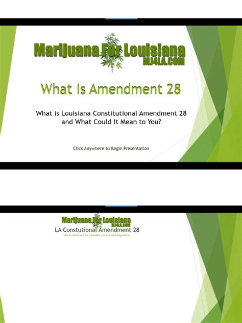 Amendment 28 PowerPoint