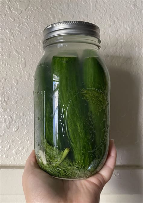 Sandor Katz sour pickles from Wild Fermentation : r/fermentation