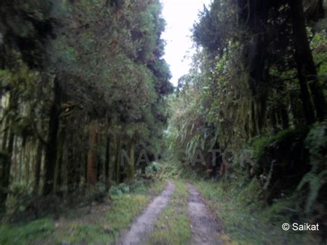 Neora Valley National Park travel guide- Kalimpong- Lava