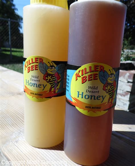 Killer Bee Honey Varieties - Misfit Gardening