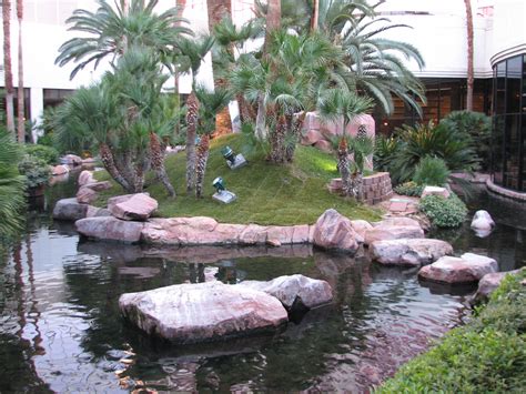 Wildlife Habitat at Flamingo Las Vegas - Chilean Flamingo Exhibit - ZooChat