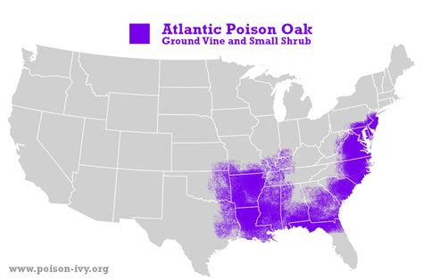 Atlantic poison oak map | Poison oak, Poison oak plant, Plant ...