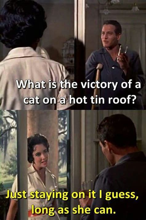 Cat on hot tin roof | Movies quotes scene, Film quotes, Movie quotes