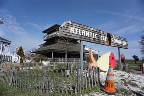 Why Is Atlantic City Aquarium Closed? - Aquariumia