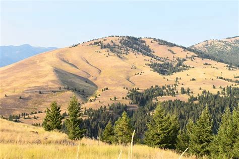 12 Best Hiking Trails near Missoula, MT | PlanetWare