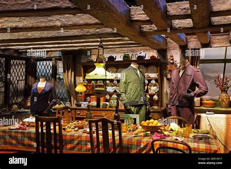 Interior decoration of The Burrow (Weasley's house) kitchen and ...