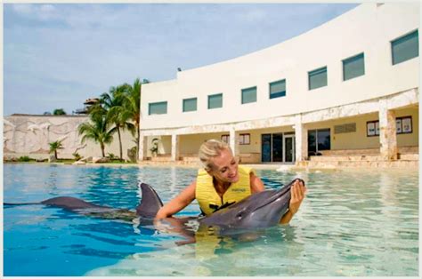 Swim with Dolphins in Cancun | Dolphinaris Cancun