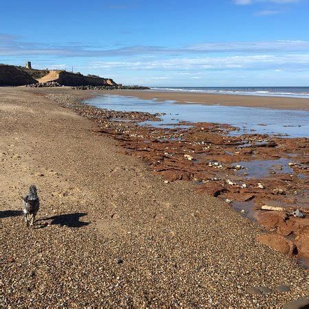 Happisburgh Beach - 2019 All You Need to Know BEFORE You Go (with Photos) - TripAdvisor