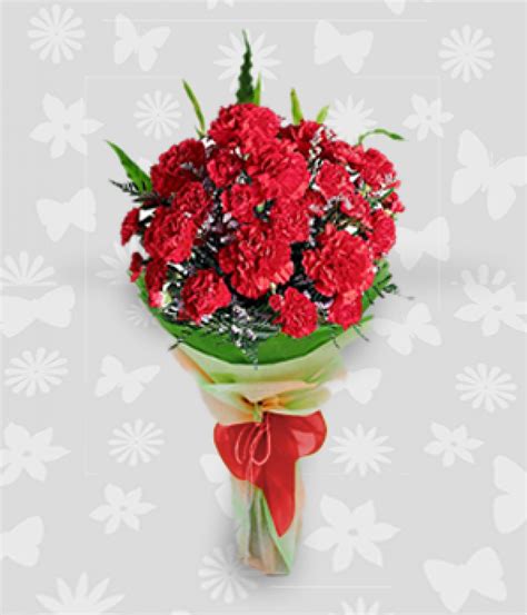 1 dozen of red carnations bouquet