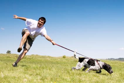 How to Stop Pulling on Leash | CATCH Canine Trainers AcademyCATCH ...