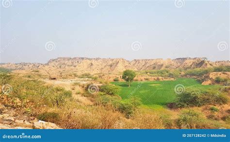 Chambal Valley stock photo. Image of hills, dried, bank - 207128242