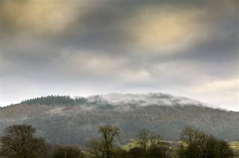 Foggy Weather Free Stock Photo - Public Domain Pictures