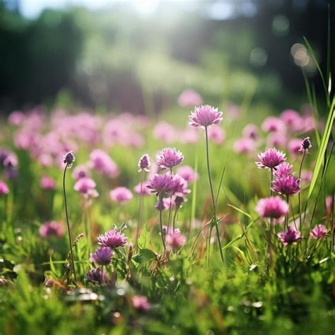 Premium AI Image | green field near a field is filled with pink flowers in the style of macro ...