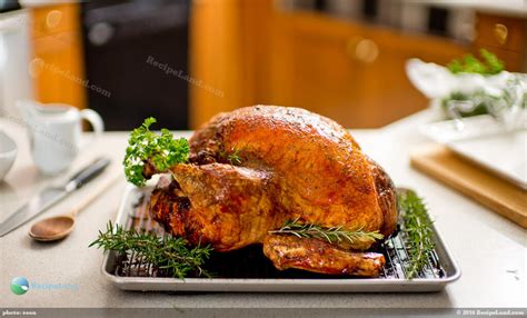 Turkey Roasted in Parchment Paper Recipe