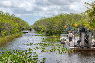 Everglades National Park: Map, Popular Camping & Things To Do