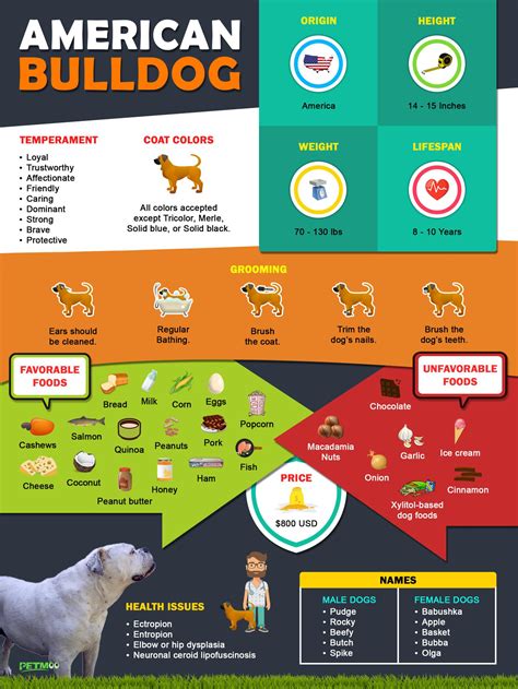 American Bulldog Feeding Chart | vlr.eng.br