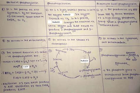 [Solved] What are the comparisons of oxidative phosphorylation ...