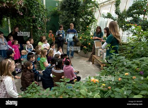 Staff at the Peggy Notebaert Nature Museum in Chicago are about to ...